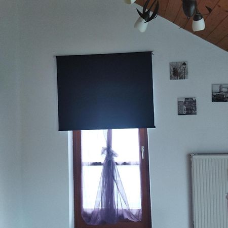 Aussergewoehnliche Atelierferienwohnung Mit Balkon An Der Donau Winzer Экстерьер фото