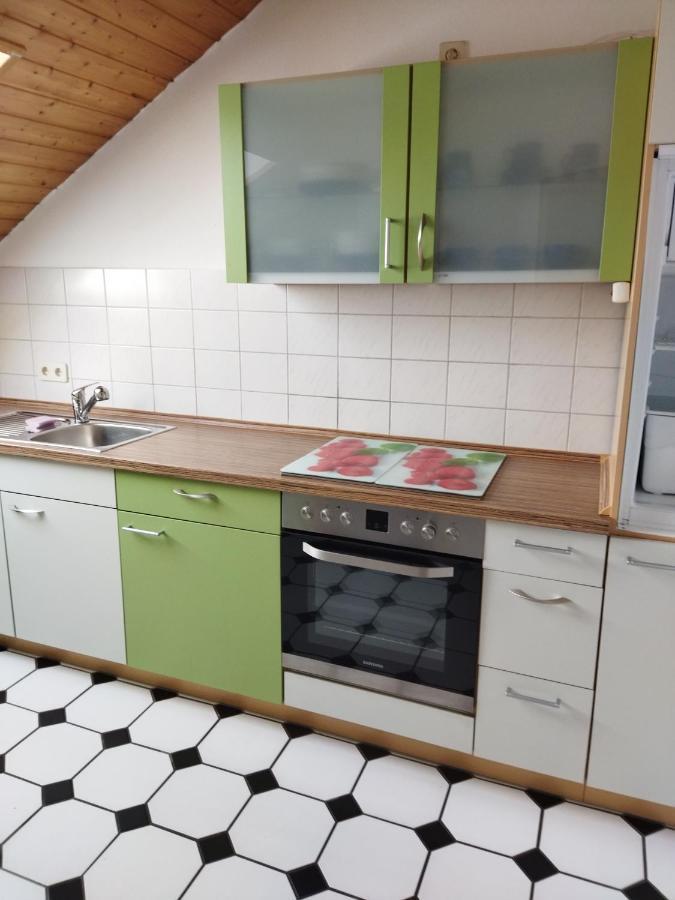 Aussergewoehnliche Atelierferienwohnung Mit Balkon An Der Donau Winzer Экстерьер фото