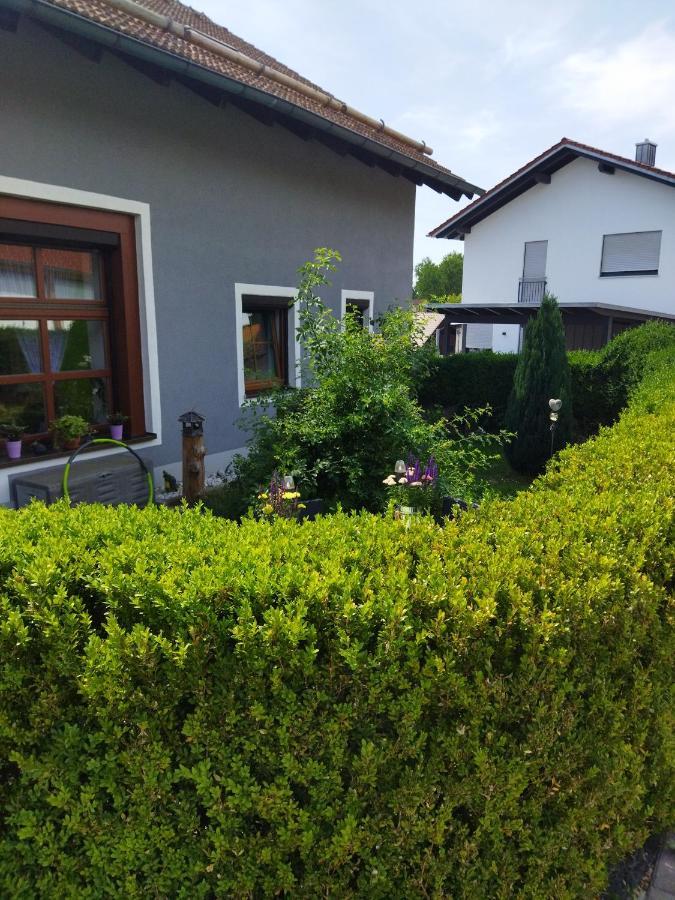 Aussergewoehnliche Atelierferienwohnung Mit Balkon An Der Donau Winzer Экстерьер фото