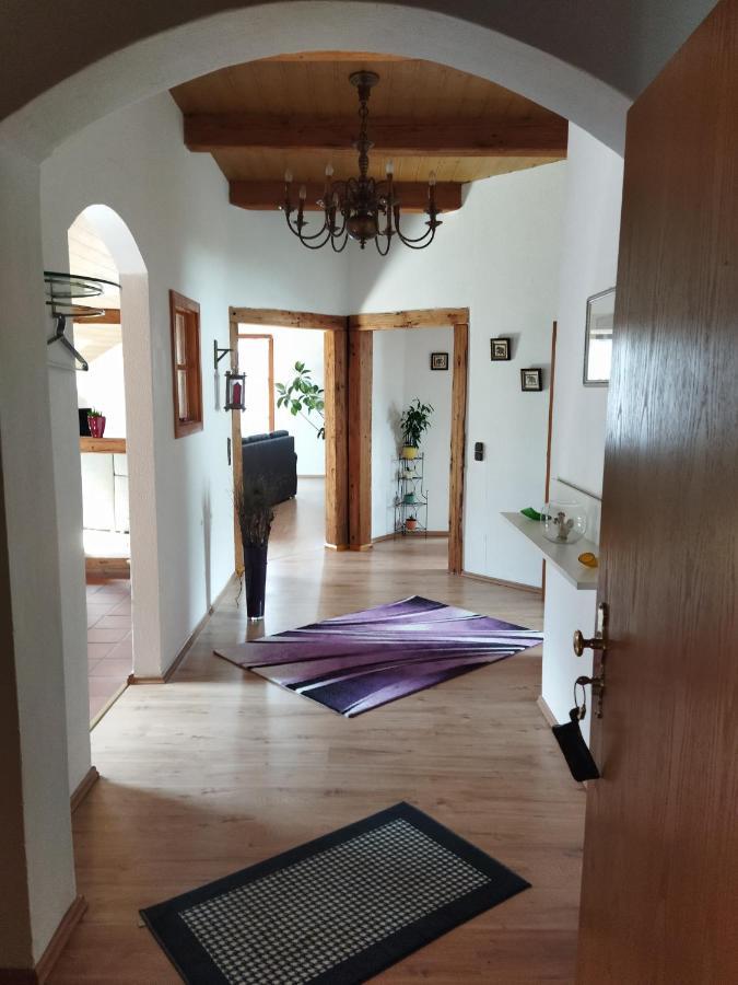Aussergewoehnliche Atelierferienwohnung Mit Balkon An Der Donau Winzer Экстерьер фото