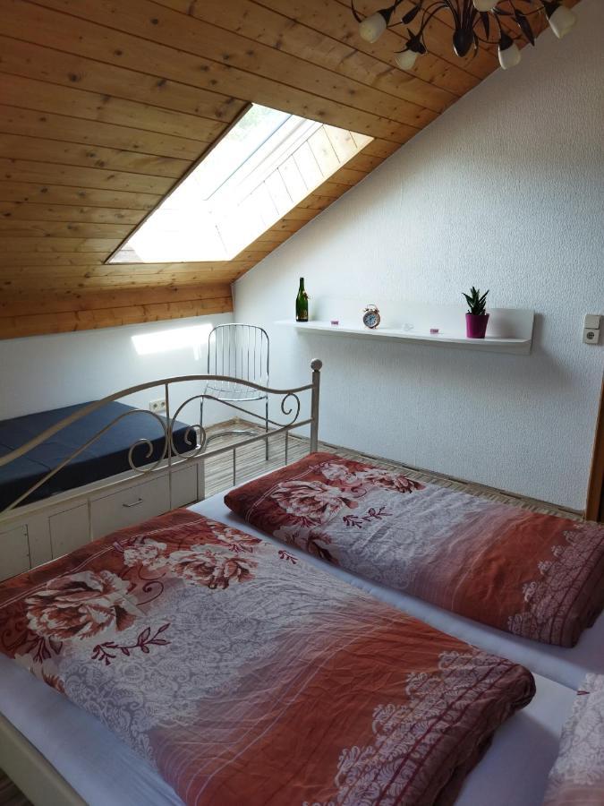 Aussergewoehnliche Atelierferienwohnung Mit Balkon An Der Donau Winzer Экстерьер фото