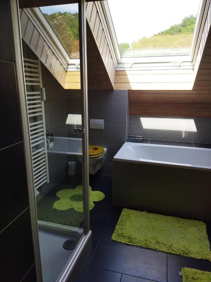 Aussergewoehnliche Atelierferienwohnung Mit Balkon An Der Donau Winzer Экстерьер фото