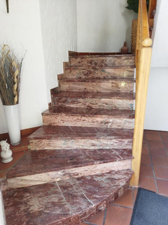 Aussergewoehnliche Atelierferienwohnung Mit Balkon An Der Donau Winzer Экстерьер фото