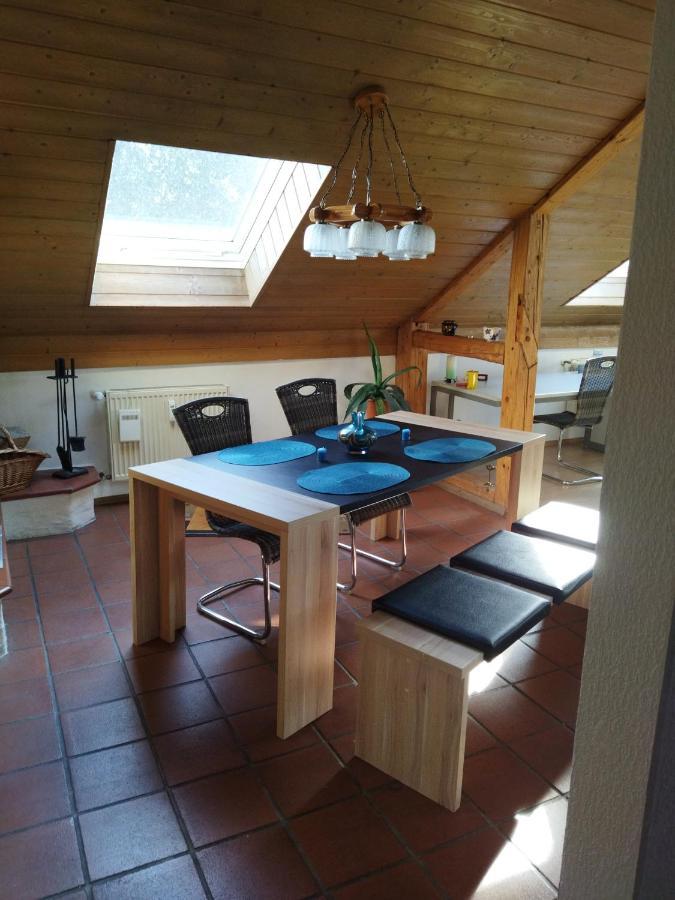 Aussergewoehnliche Atelierferienwohnung Mit Balkon An Der Donau Winzer Экстерьер фото