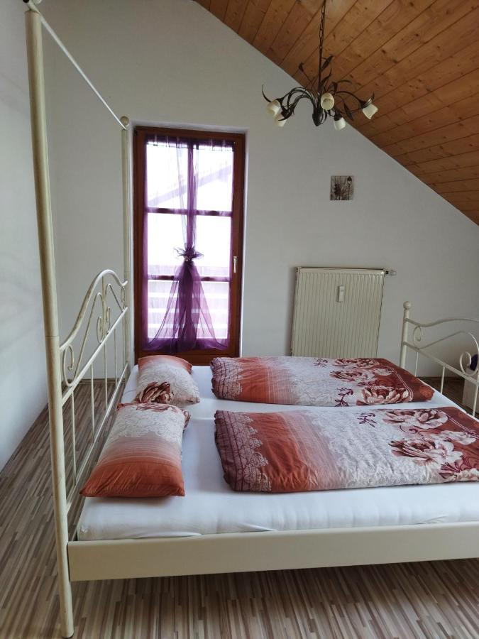 Aussergewoehnliche Atelierferienwohnung Mit Balkon An Der Donau Winzer Экстерьер фото