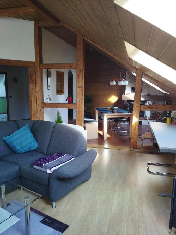 Aussergewoehnliche Atelierferienwohnung Mit Balkon An Der Donau Winzer Экстерьер фото