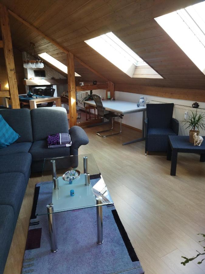 Aussergewoehnliche Atelierferienwohnung Mit Balkon An Der Donau Winzer Экстерьер фото