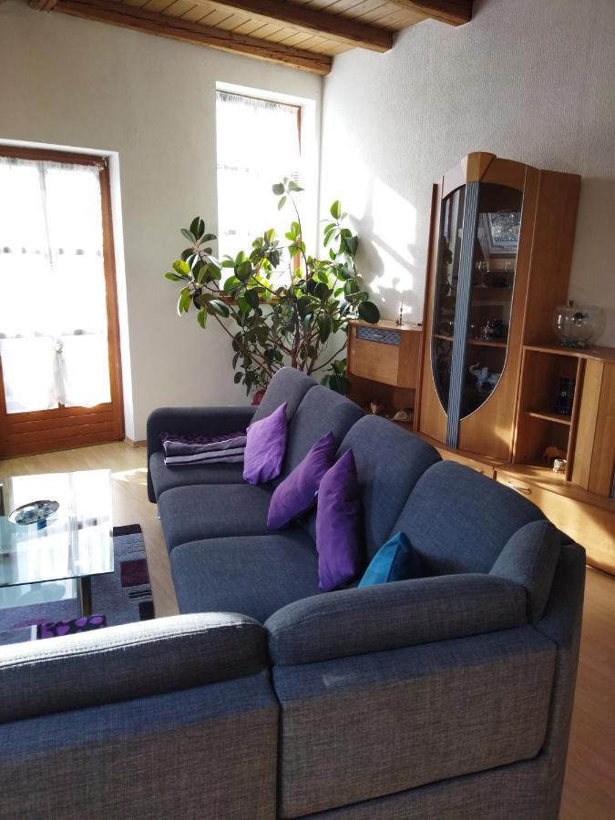 Aussergewoehnliche Atelierferienwohnung Mit Balkon An Der Donau Winzer Экстерьер фото