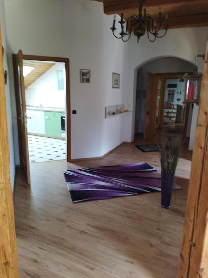 Aussergewoehnliche Atelierferienwohnung Mit Balkon An Der Donau Winzer Экстерьер фото