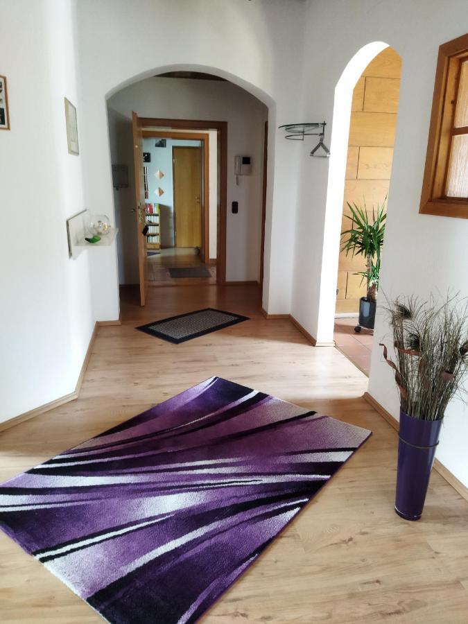Aussergewoehnliche Atelierferienwohnung Mit Balkon An Der Donau Winzer Экстерьер фото