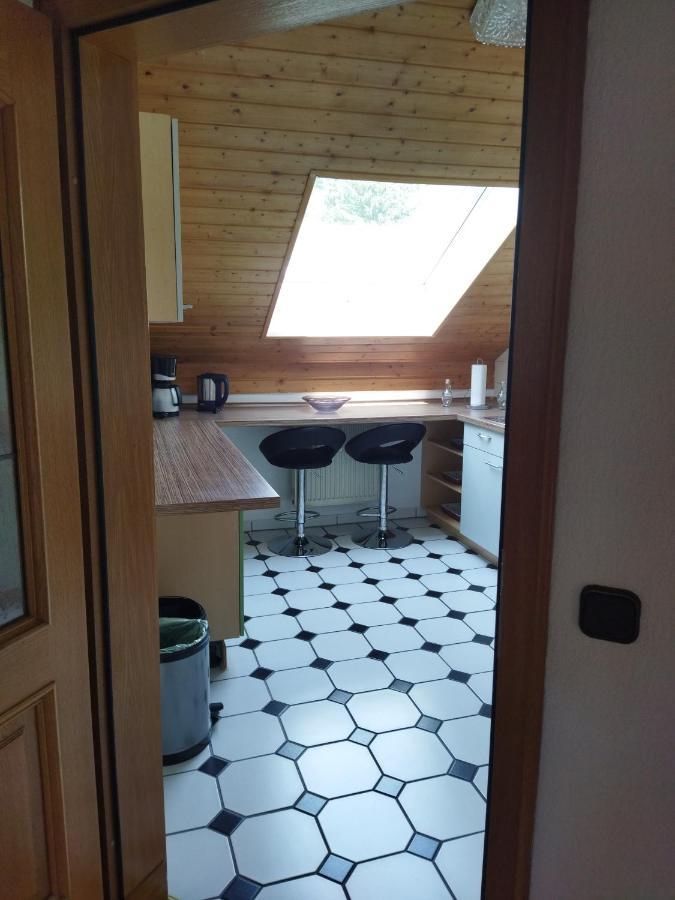 Aussergewoehnliche Atelierferienwohnung Mit Balkon An Der Donau Winzer Экстерьер фото