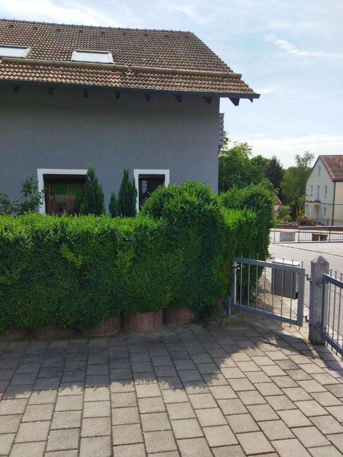 Aussergewoehnliche Atelierferienwohnung Mit Balkon An Der Donau Winzer Экстерьер фото
