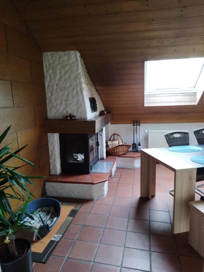 Aussergewoehnliche Atelierferienwohnung Mit Balkon An Der Donau Winzer Экстерьер фото