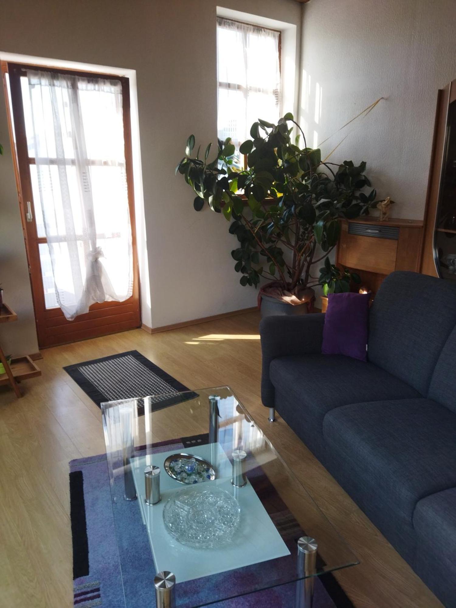 Aussergewoehnliche Atelierferienwohnung Mit Balkon An Der Donau Winzer Экстерьер фото