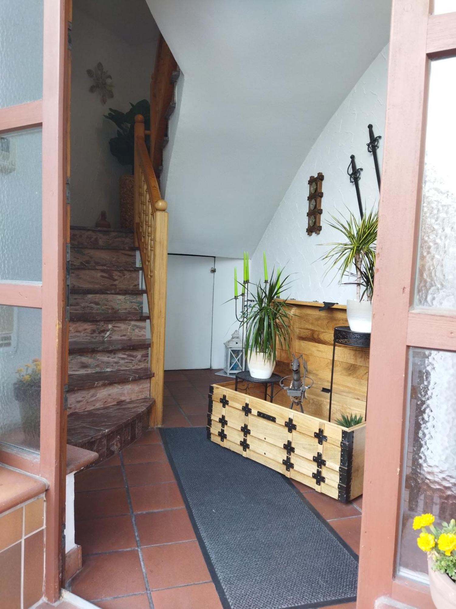 Aussergewoehnliche Atelierferienwohnung Mit Balkon An Der Donau Winzer Экстерьер фото