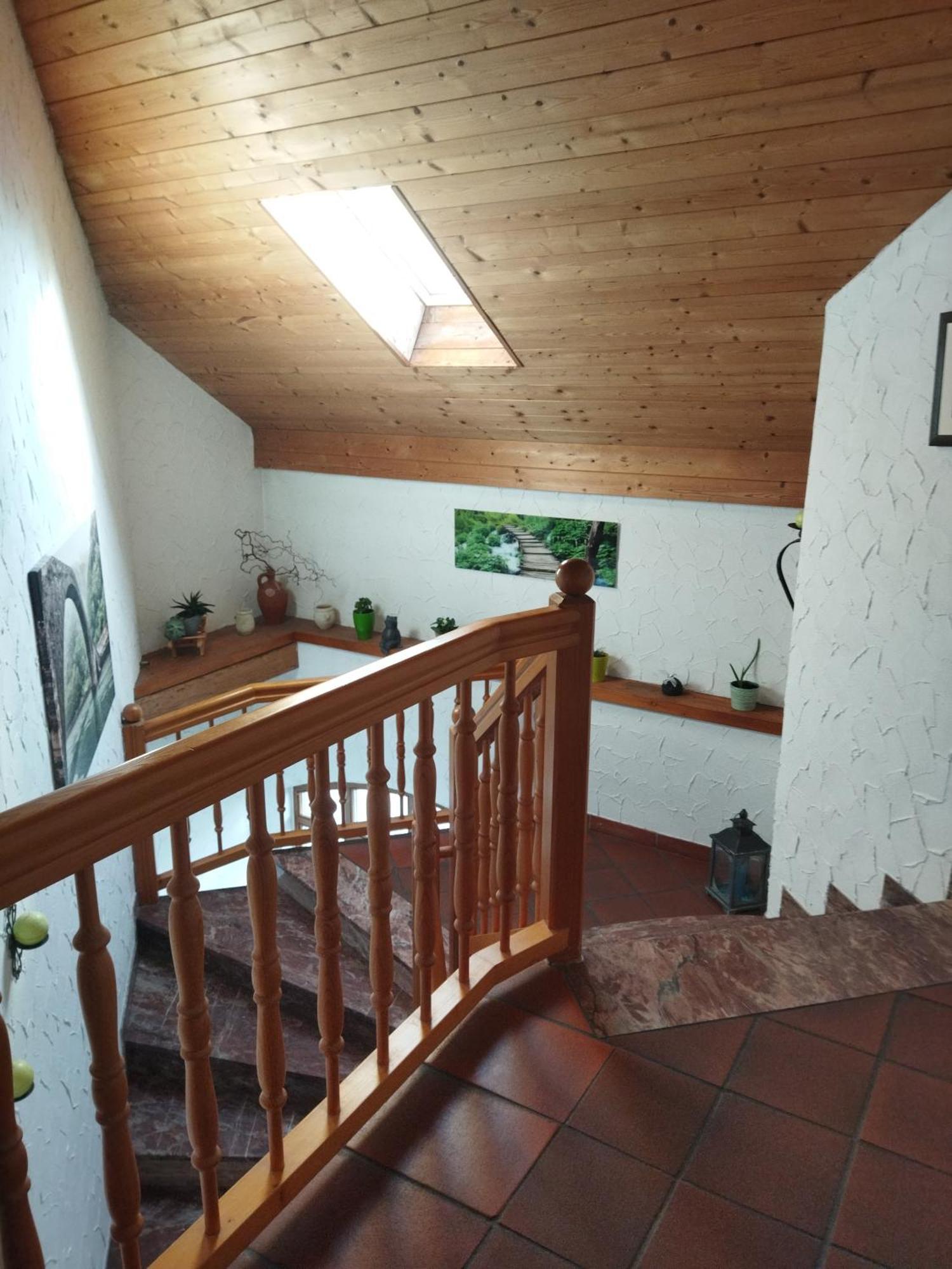 Aussergewoehnliche Atelierferienwohnung Mit Balkon An Der Donau Winzer Экстерьер фото